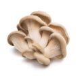 Oyster Mushroom 4 Oz 느타리 버섯