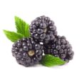 Blackberries 10 Oz 블랙베리